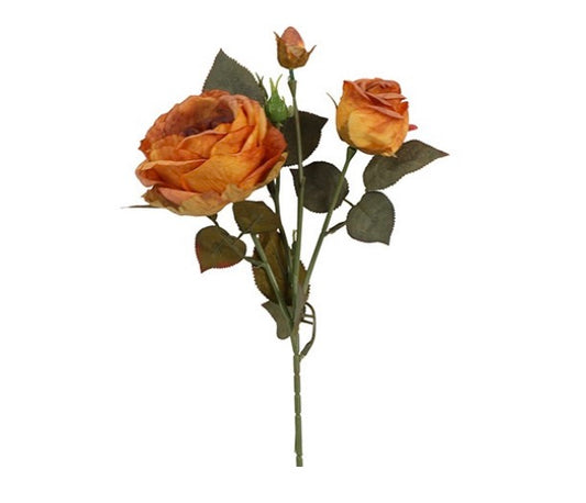 Bloem Roos Rosa