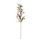 Garden Flower Pink sandersonia flower spray