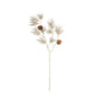 Twig Plant Cream pine cone spray dry look