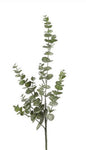 Blad Eucalyptus S groen-19x19x79CM