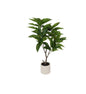 Plant Ficus magnolii S groen-60x40x125CM
