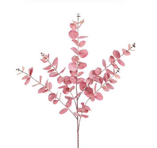 Blad Eucalyptus Cinerea roze-59x28x106CM