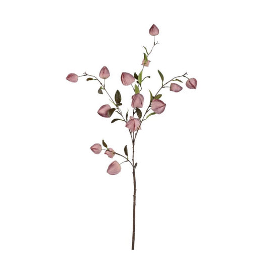 Garden flower roze