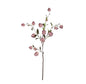 Garden flower roze