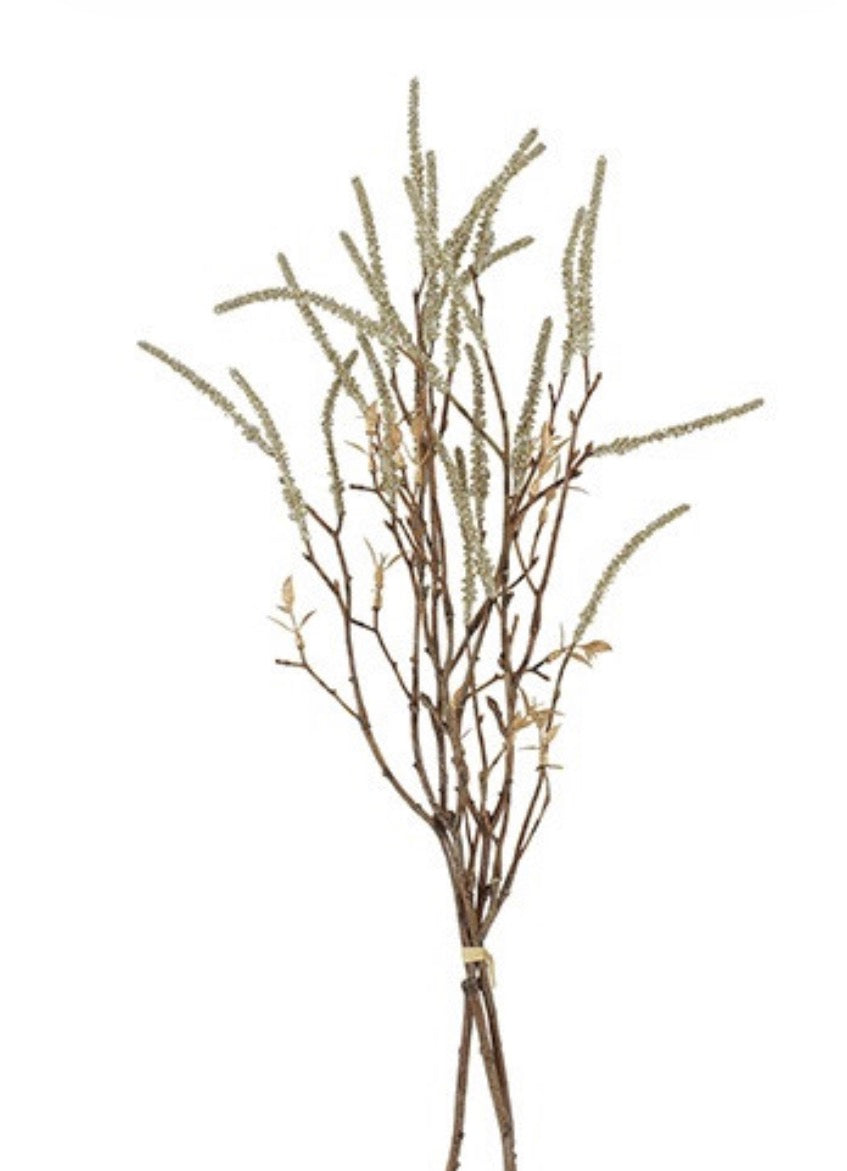 Bundel Corylus champagne-6x16x63CM
