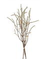 Bundel Corylus champagne-6x16x63CM