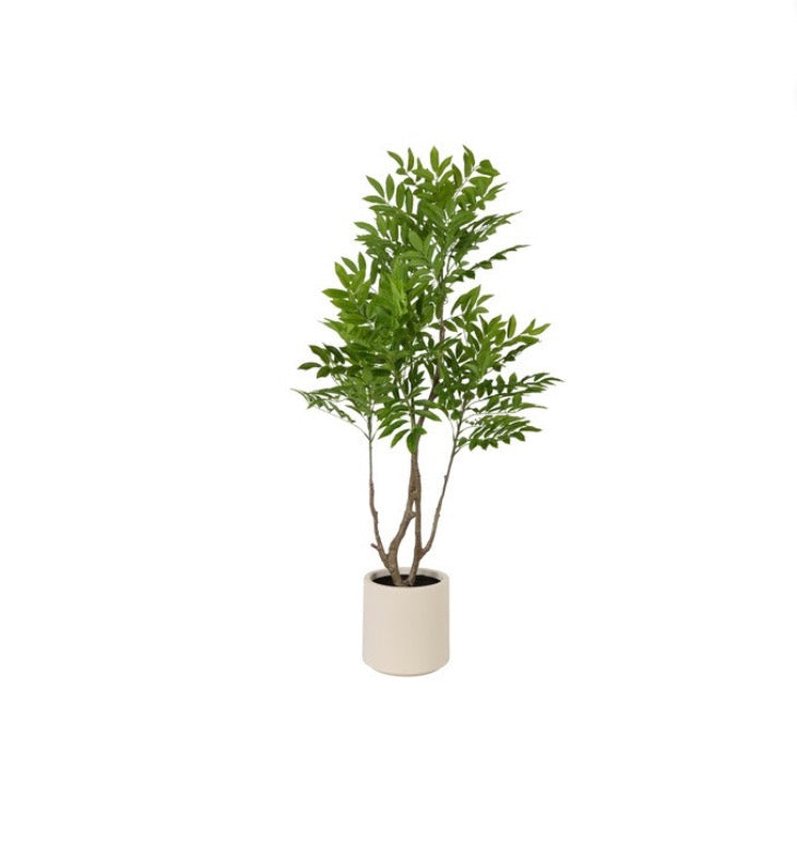 Plant Rhus M groen-90x90x155CM