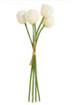 Bloem Tulp Tulipa Icoon 5x wit-15x15x49CM