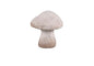 Stenen paddenstoel wit