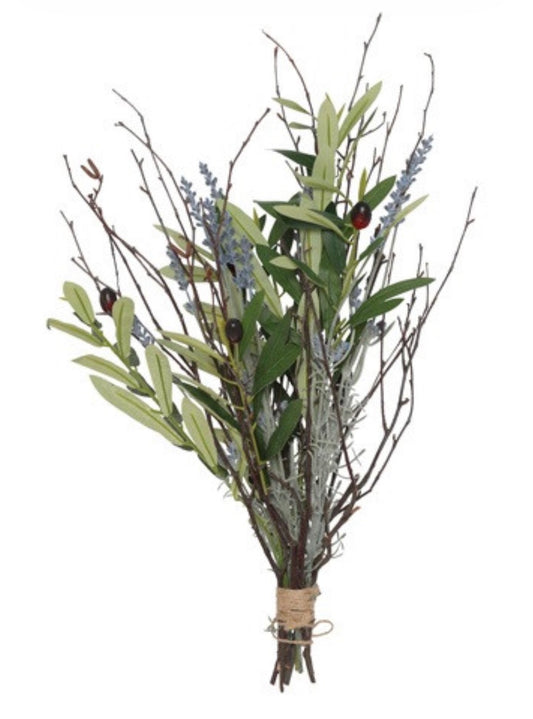 Bundel Olijf Olea Lavender,Twig gr-13x24x62CM