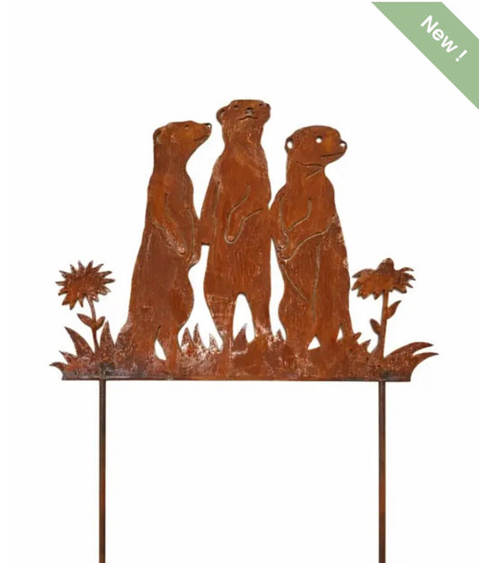 3 stokstaartjes