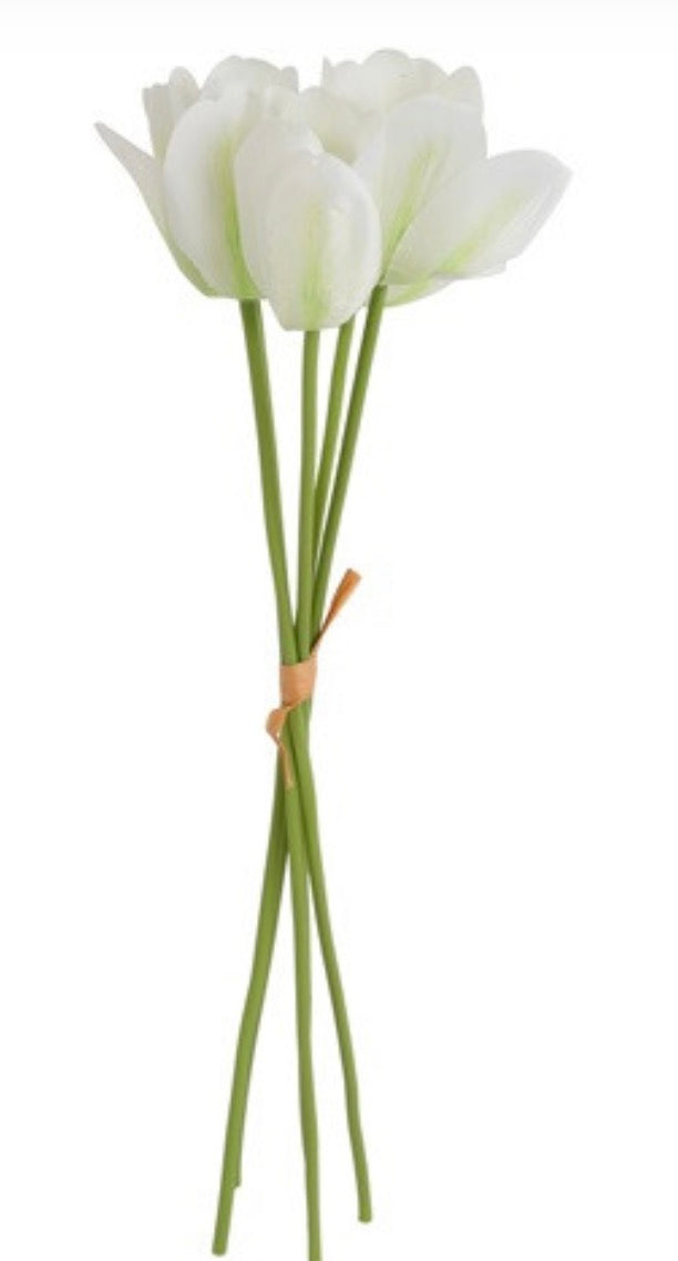Bloem Tulp Tulipa Soraya 5x wit-15x15x34CM