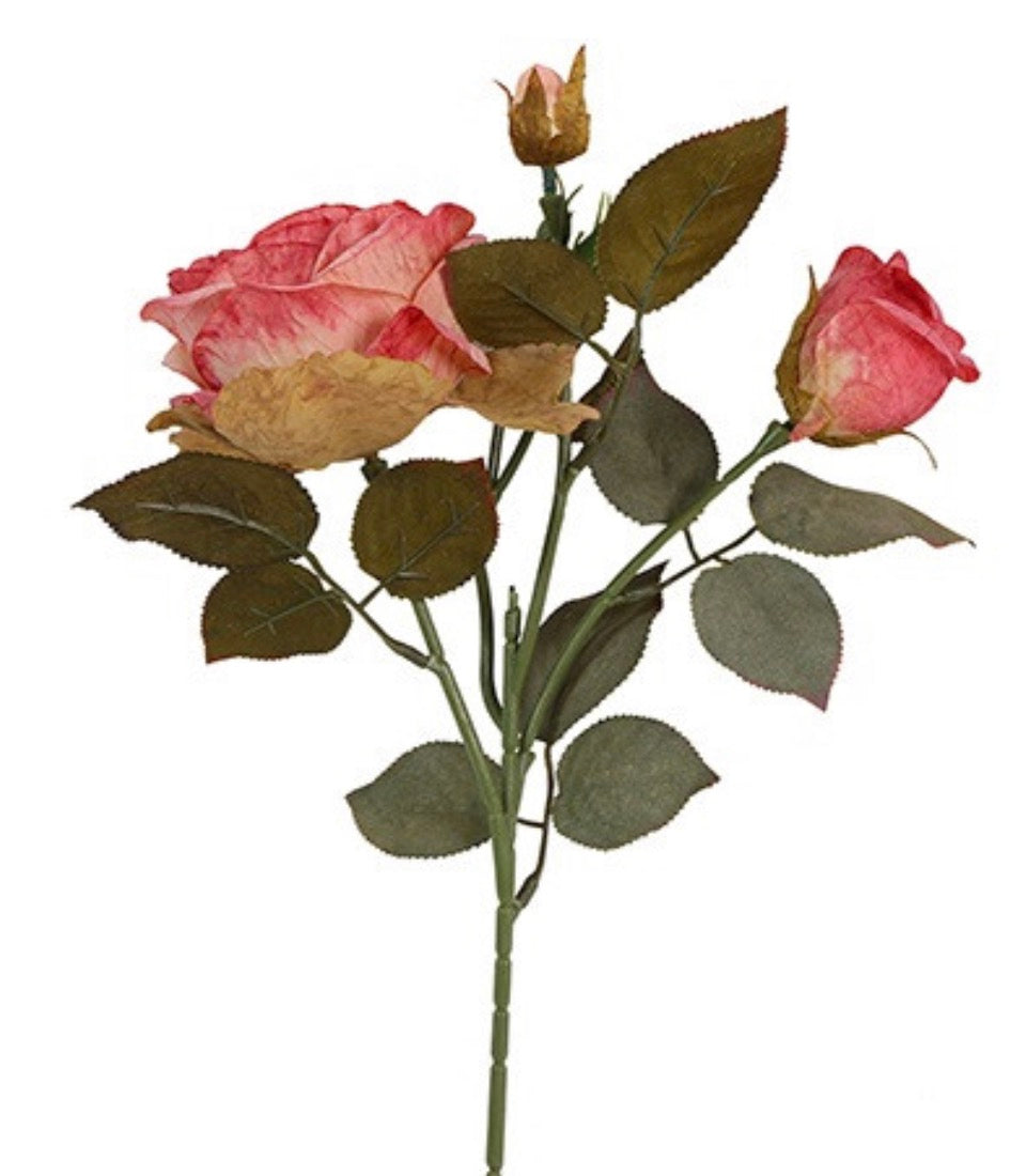 Bloem Roos Rosa Pia 2x roze-10x14x47CM