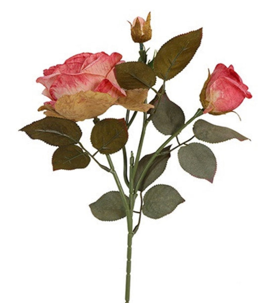 Bloem Roos Rosa Pia 2x roze-10x14x47CM