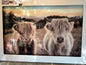 Glaskader hooglanders 120x80cm
